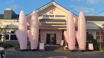 💖 이와시타 햇생강 박물관 (이와시타노 신쇼가 뮤지아무) 이미지 2